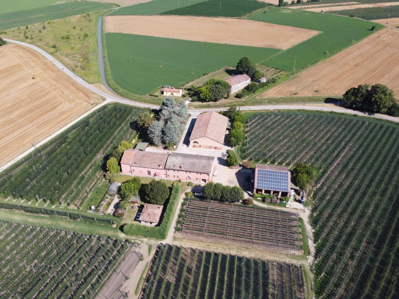Agriturismo Fondo Novelle La Casina แฟร์รารา ภายนอก รูปภาพ
